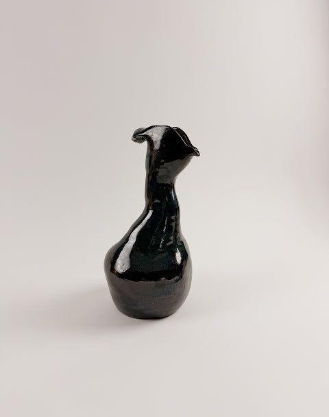 Wine Birds Project